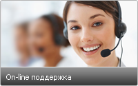 Онлайн поддержка